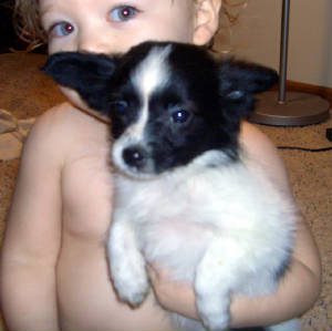 maisy2a.jpg