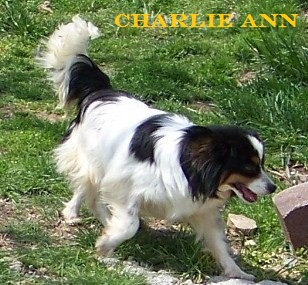 100_9577.jpg
