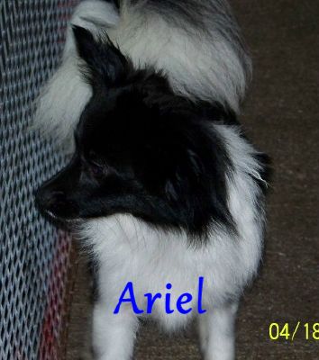 ariel.jpg