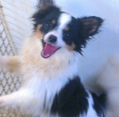 lucylou.jpg